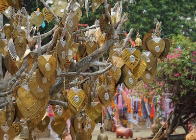 Thailand Travel - Chiang Mai Temples - 23 - Wat Lok Molee