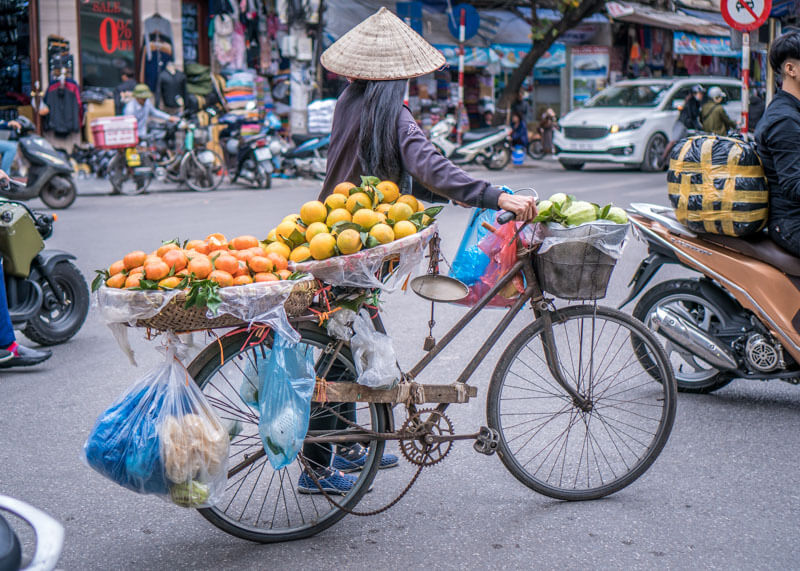 Hanoi trip blog - female fruit vendor