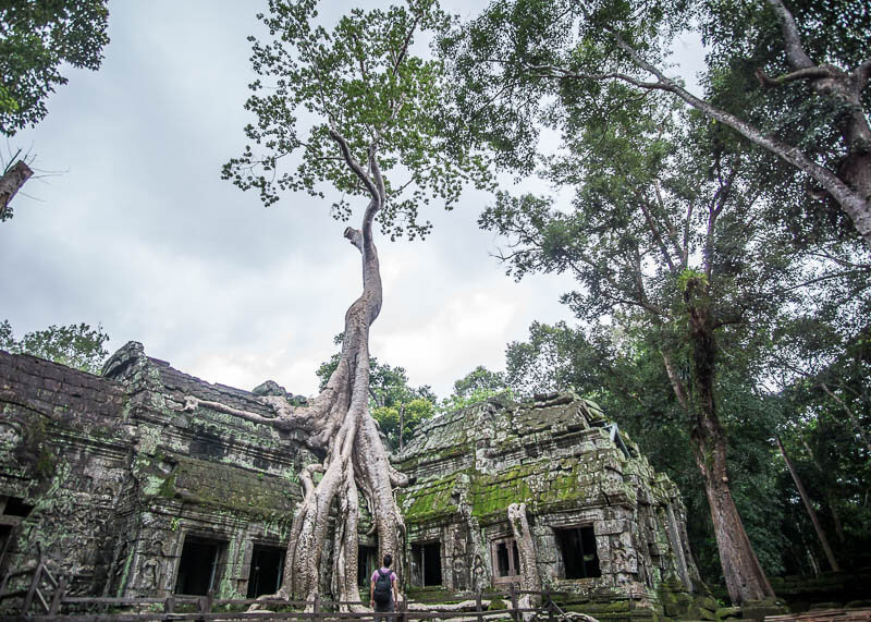 Siem Reap Travel Blog - Ta Prohm temple